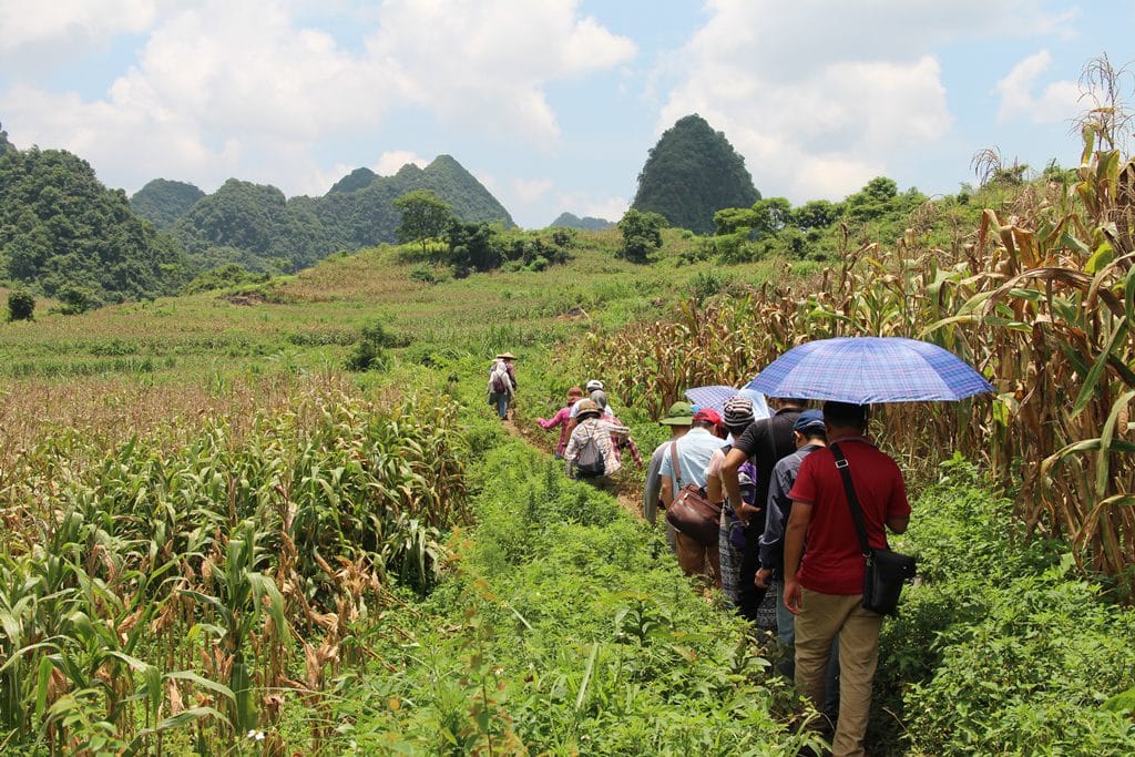 Trekking in Cao Bang Vietnam