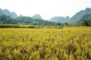 Cao Bang – A Wonderland of Adventure Travel Vietnam