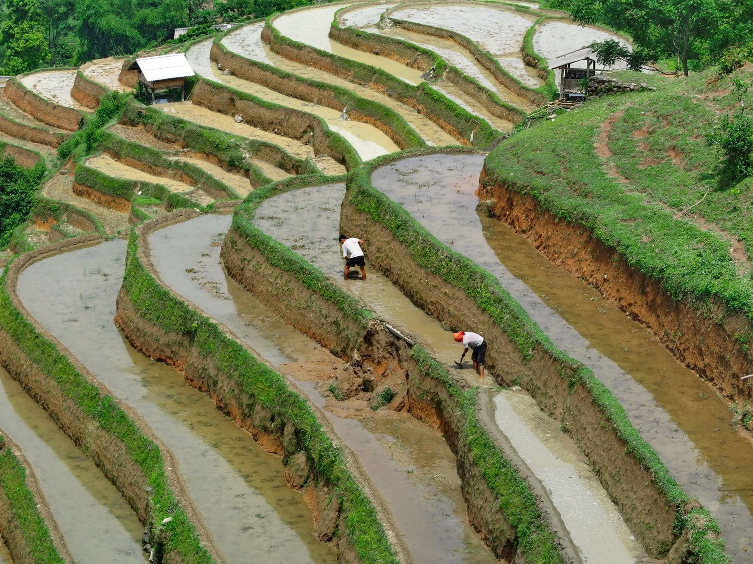 Rice-Field-Terrace-Responsible-Tourism-Ha-Giang-Vietnam-Do-Manh-Duc-TLT-1754_resize