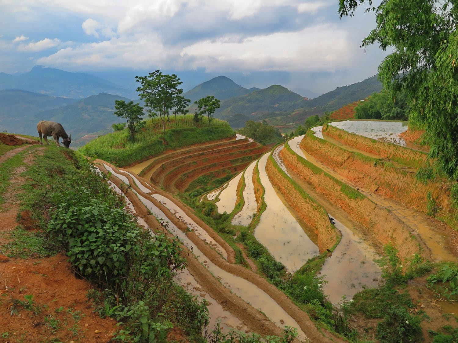 Rice-Field-Terrace-Responsible-Tourism-Ha-Giang-Vietnam-Do-Manh-Duc-TLT-1899_resize