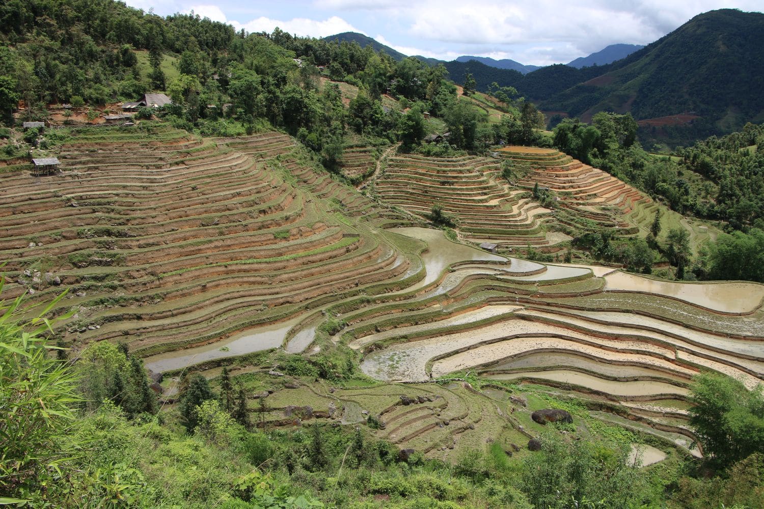 Rice-Field-Terrace-Responsible-Tourism-Ha-Giang-Vietnam-IMG_2681