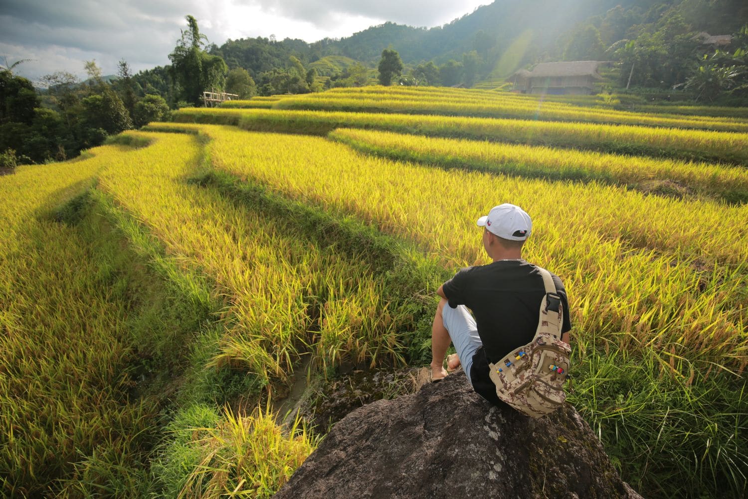 Rice-Field-Terrace-Responsible-Tourism-Ha-Giang-Vietnam-NAM_5061