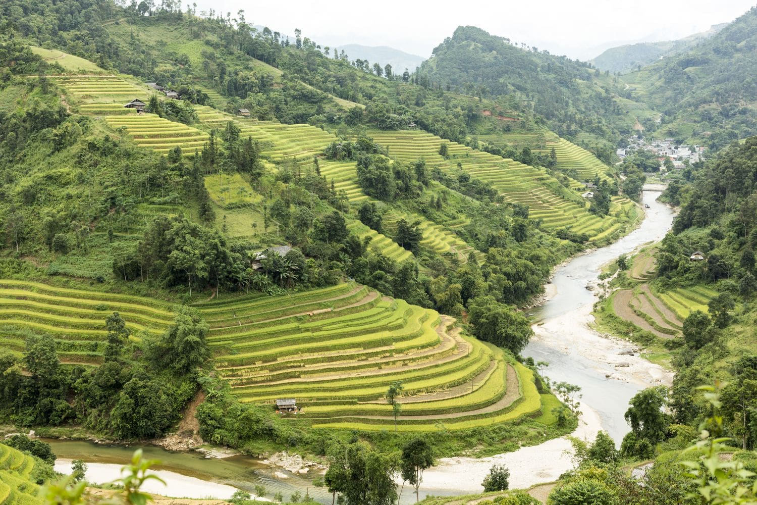 Rice-Field-Terrace-Responsible-Tourism-Ha-Giang-Vietnam-_B5A9623