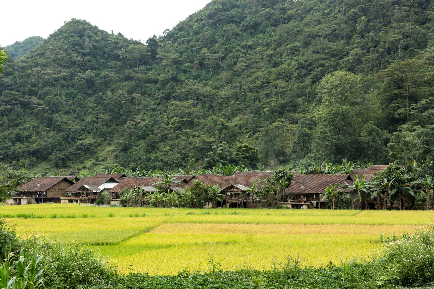 Vietnam-Responsible-Tourism-Phia-Thap-Village6