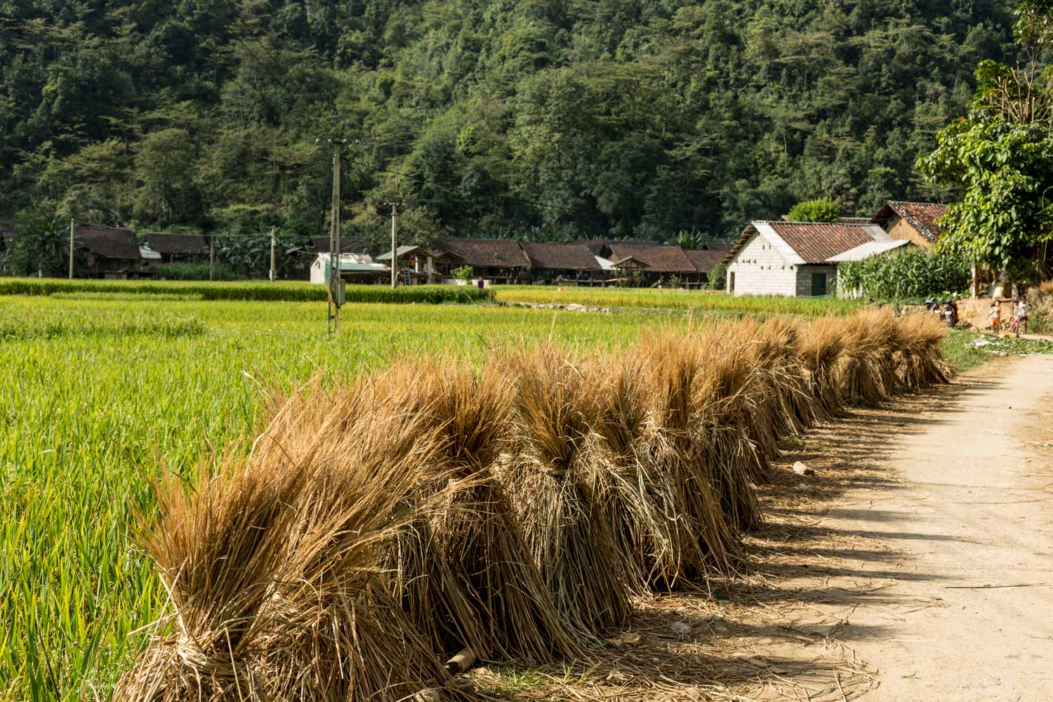 Vietnam-Responsible-Tourism-Phia-Thap-Village8