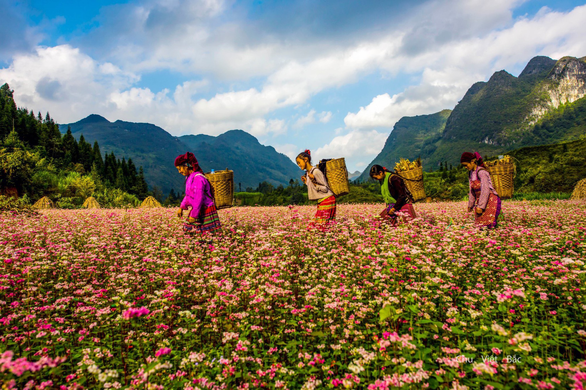 Ha giang eco tour