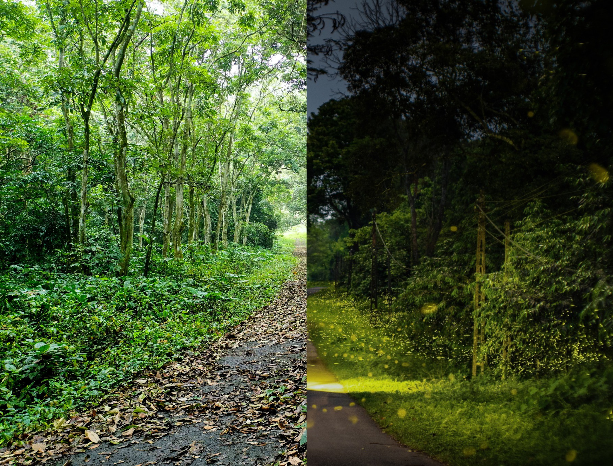 Cuc Phuong National Park Sustainable Eco Tour