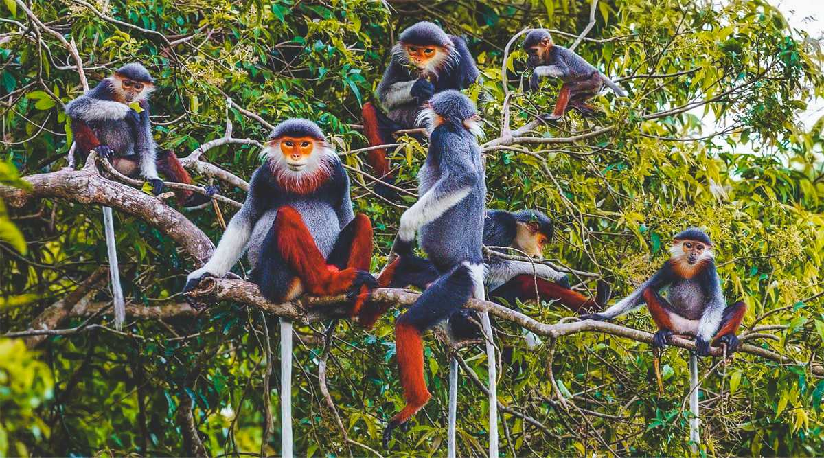 Cuc Phuong National Park Sustainable Travel