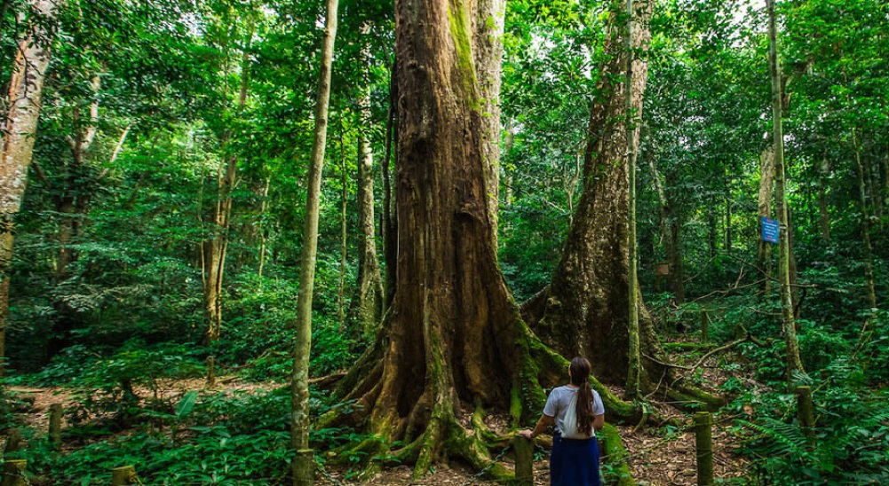Cuc Phuong National Park Sustainable travel