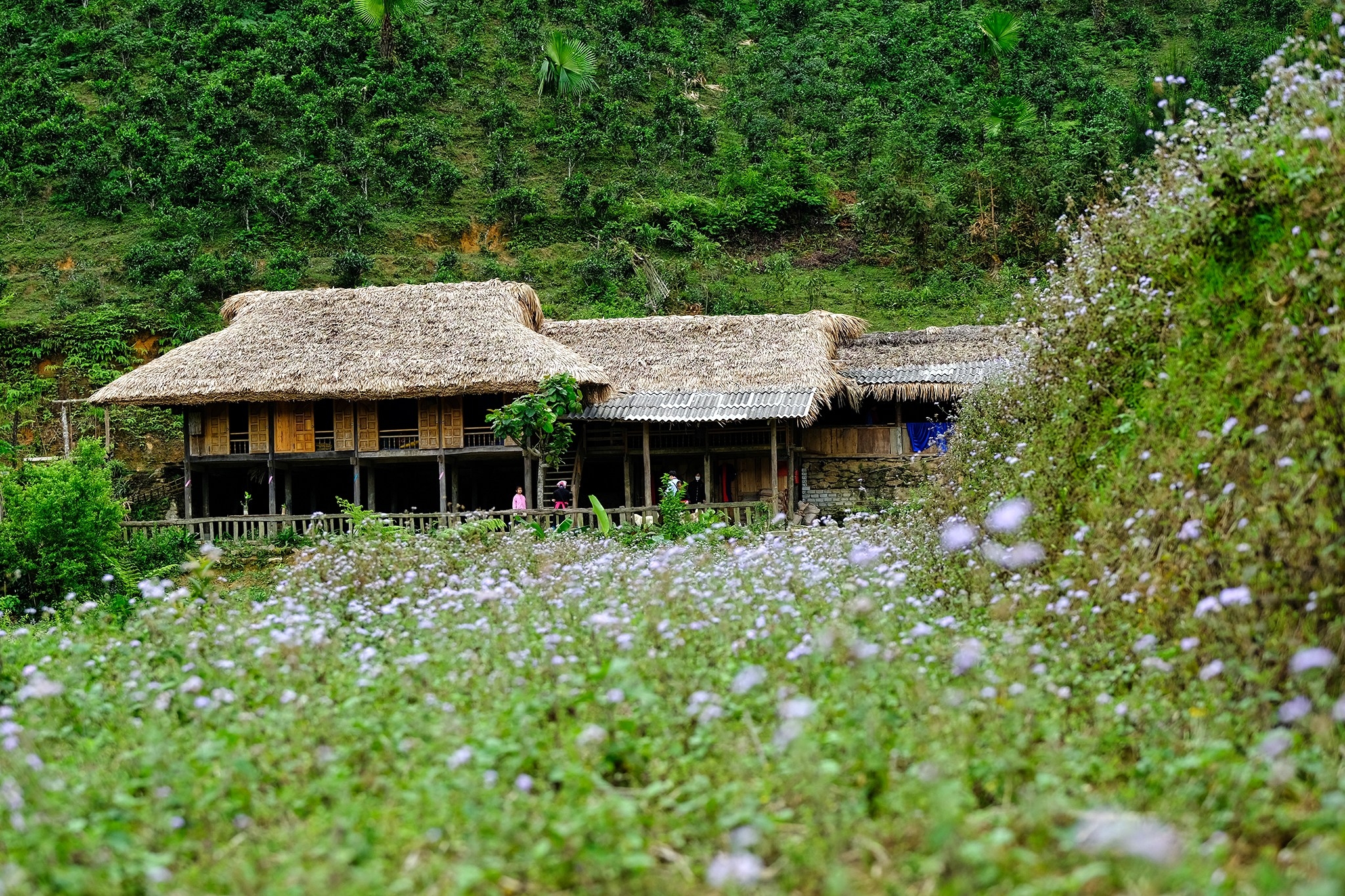 Ban Lien—a lush Tay ethnic village