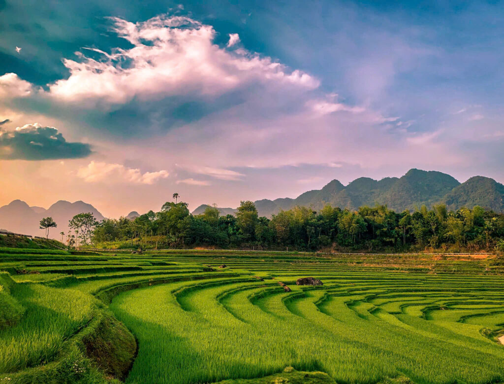 Pù Luông, réserve naturelle spectaculaire avec rizières en terrasses, forêts de bambous et villages tribaux endormis.