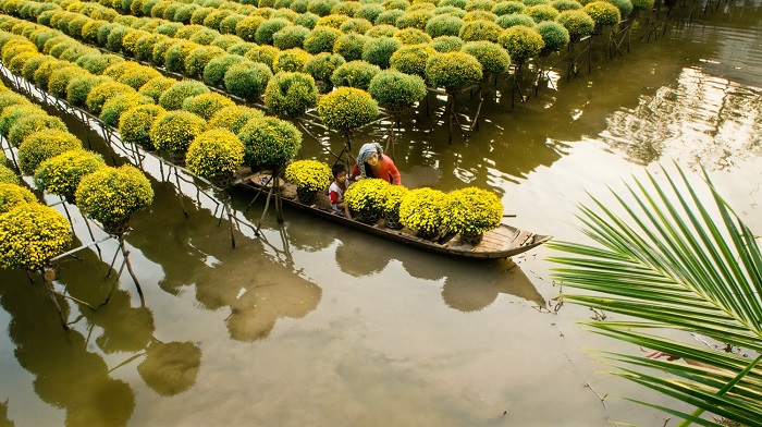 Sa Dec Flower Village Dong Thap