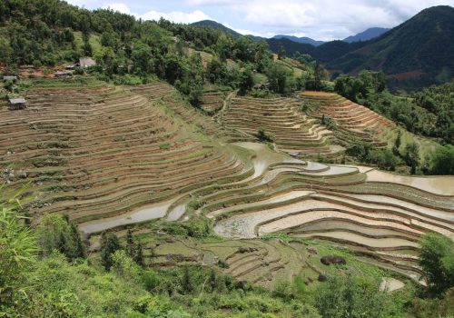 Rice-Field-Terrace-Responsible-Tourism-Ha-Giang-Vietnam-IMG_2681