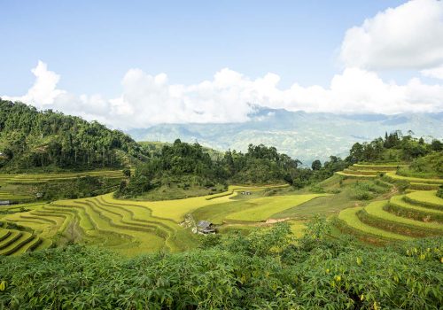 VRT02-Day-5stunning-rice-terraces-of-northeast-vietnam-Responsible-Tourism-in-Cao-Bang-Ha-Giang-Vietnam